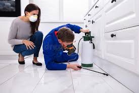 Best Emergency Pest Control  in East St Louis, IL